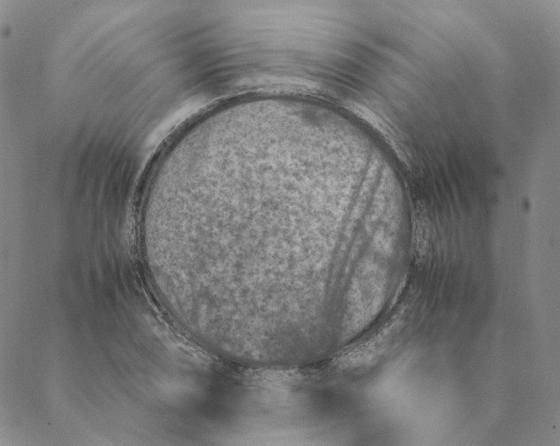 X0000088461074200706121458