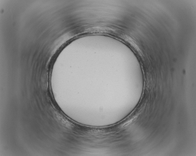 X0000088461075200706121458