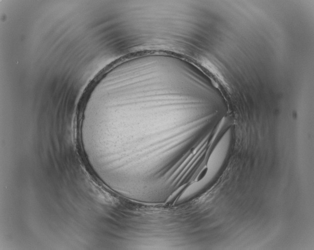 X0000088461076200706121458