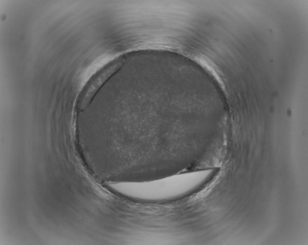 X0000088461077200706121458