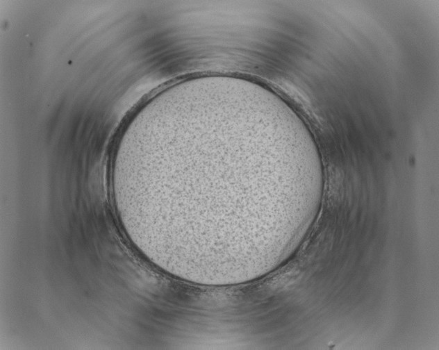 X0000088461078200706121458