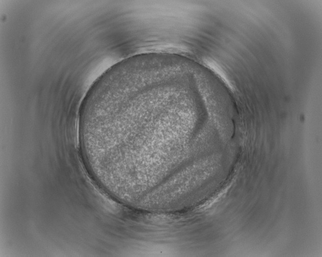 X0000088461079200706121458