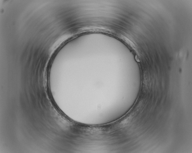 X0000088461082200706121458