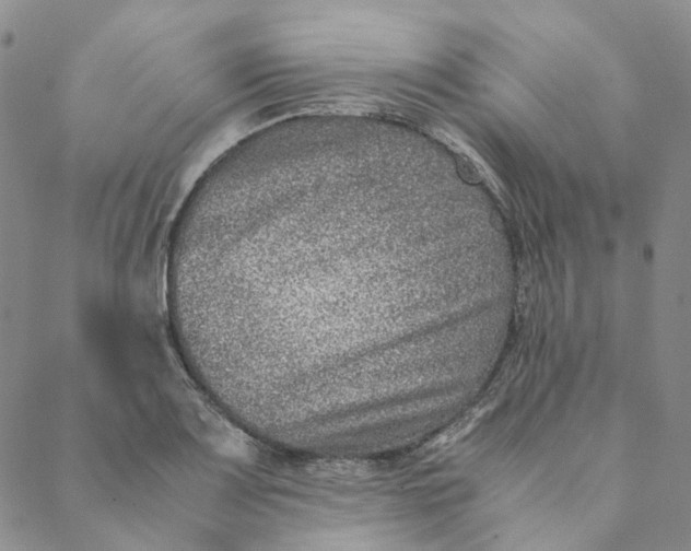 X0000088461083200706121458