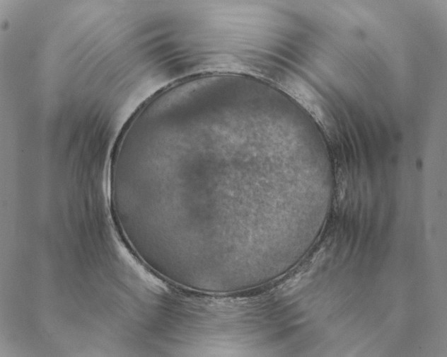 X0000088461084200706121458