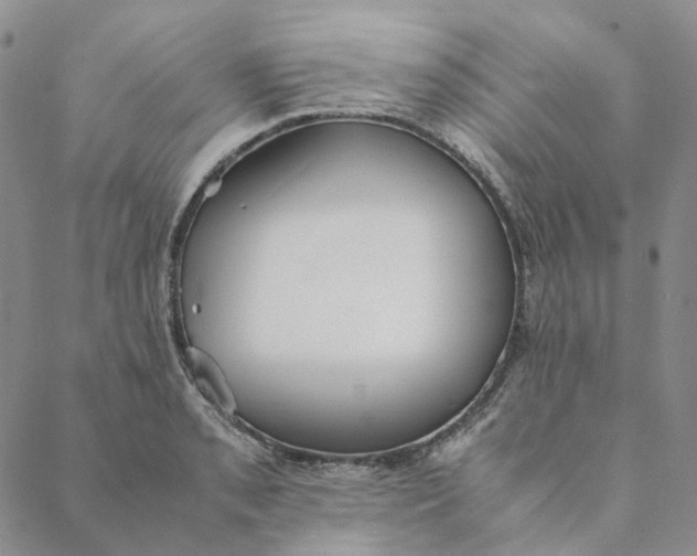 X0000088461085200706121458