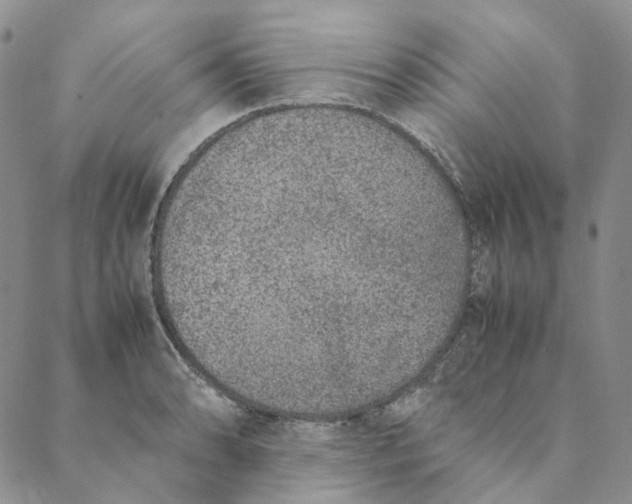 X0000088461086200706121458