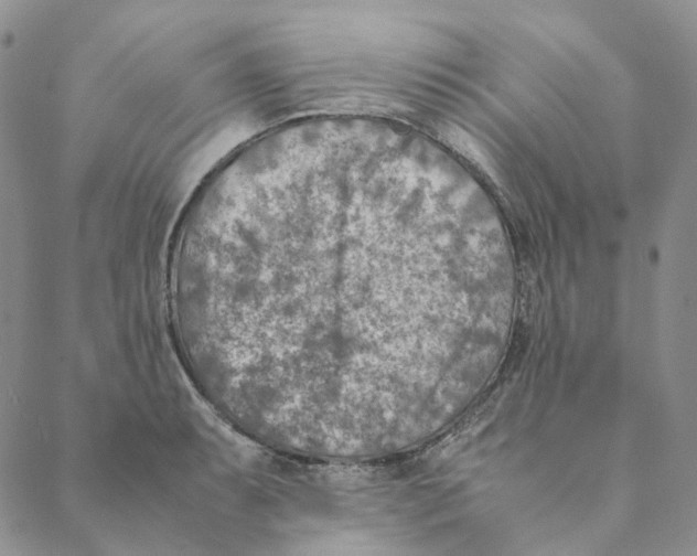 X0000088461087200706121458