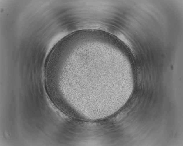 X0000088461088200706121458