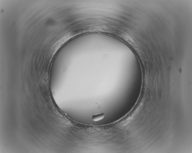 X0000088461089200706121458