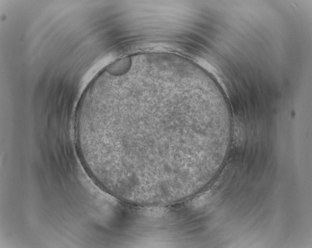 X0000088461090200706121458