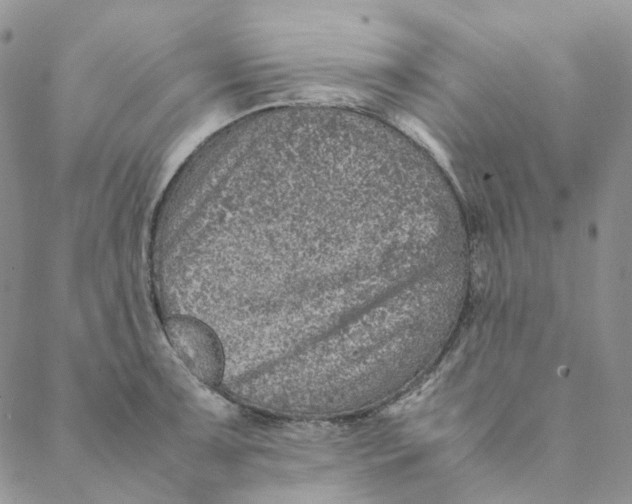 X0000088461091200706121458