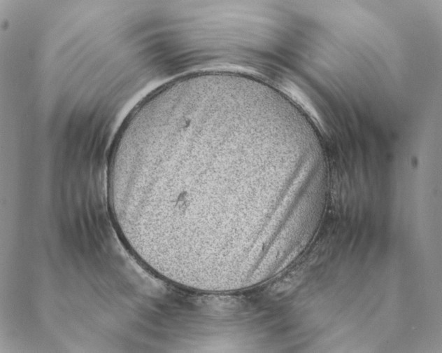 X0000088461092200706121458