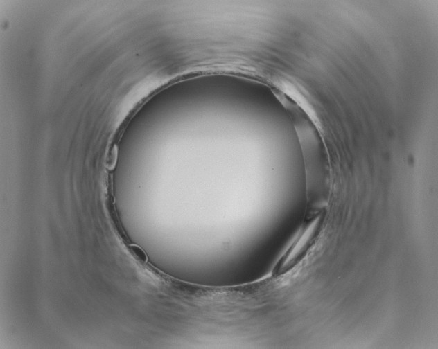 X0000088461093200706121458