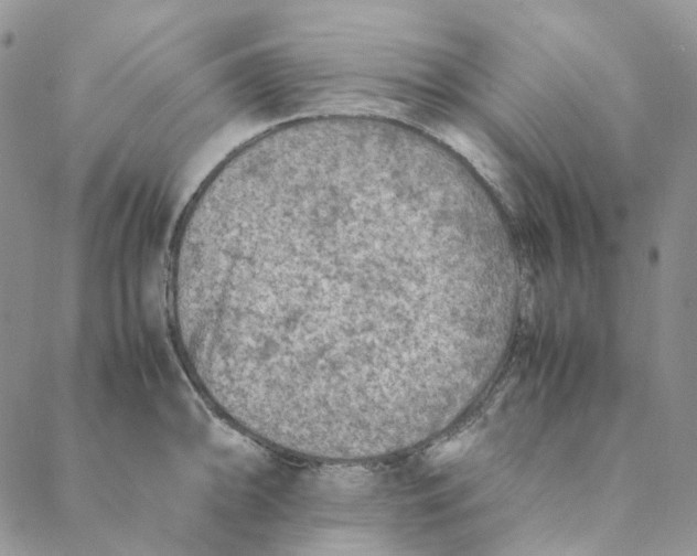 X0000088461094200706121458