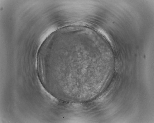 X0000088461095200706121458