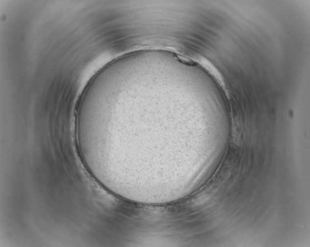 X0000088461096200706121458