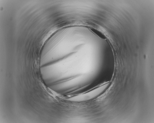 X0000088461097200706121458