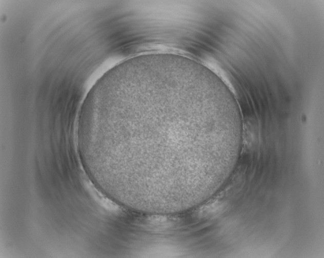 X0000088461098200706121458