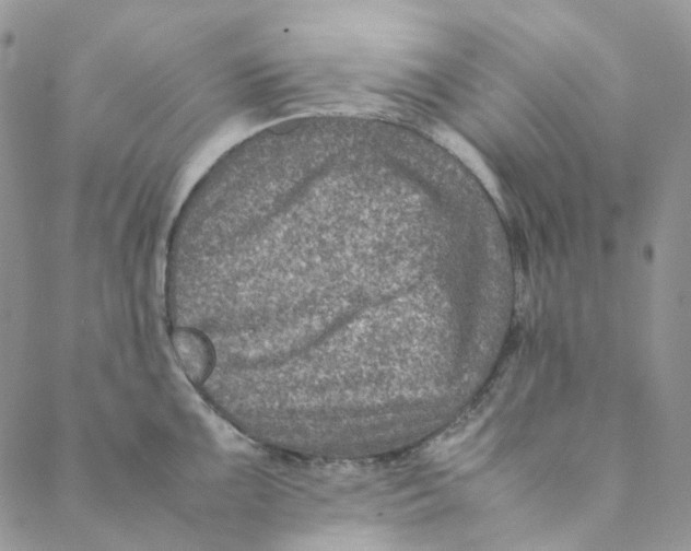 X0000088461099200706121458