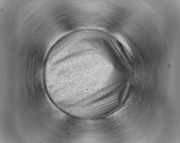 X0000088461100200706121458