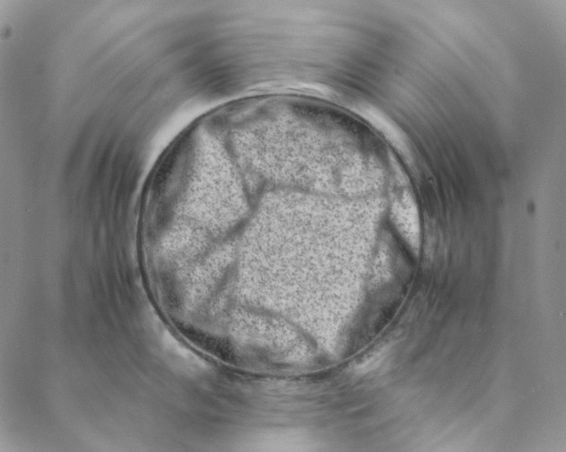 X0000088461102200706121458