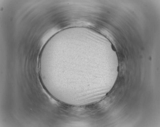 X0000088461103200706121458