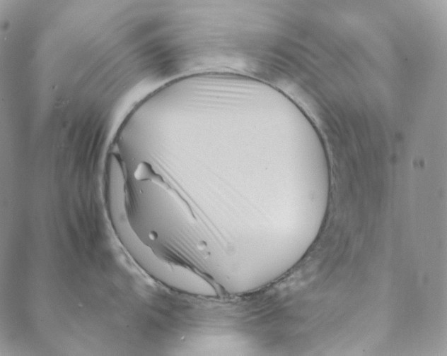 X0000088461104200706121458