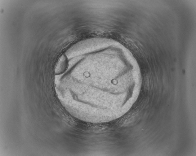 X0000088461105200706121457