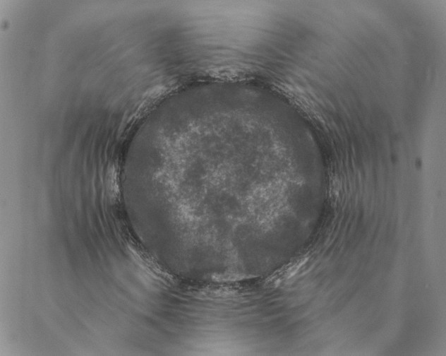 X0000088461106200706121457