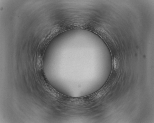 X0000088461107200706121457