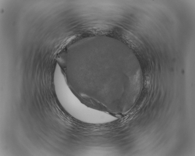 X0000088461108200706121457