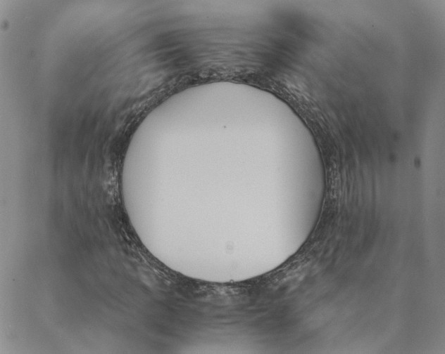 X0000088461109200706121457