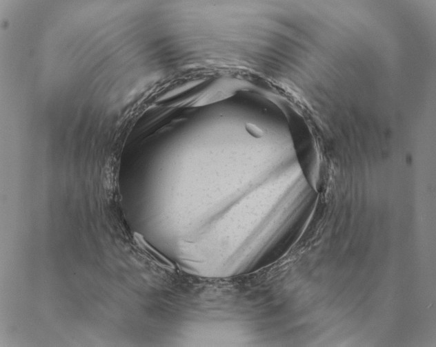 X0000088461110200706121457