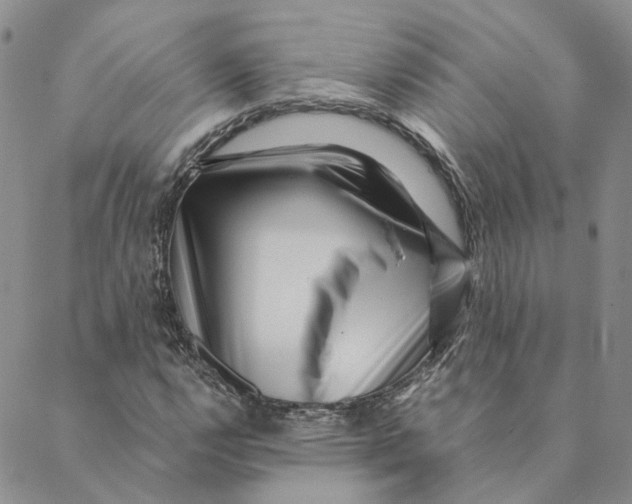 X0000088461112200706121457