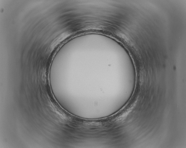 X0000088461113200706121457