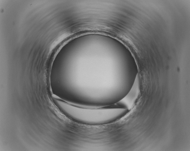 X0000088461114200706121457