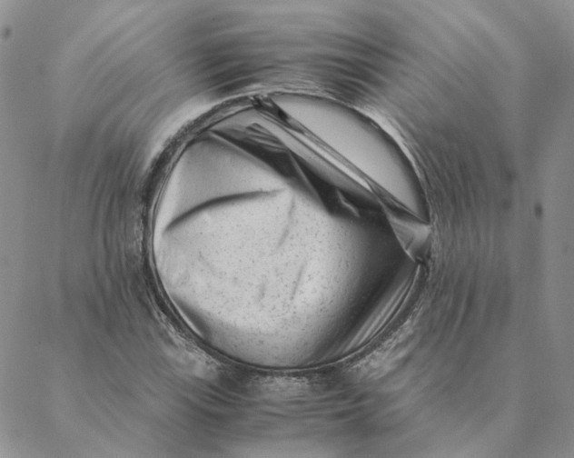 X0000088461115200706121457