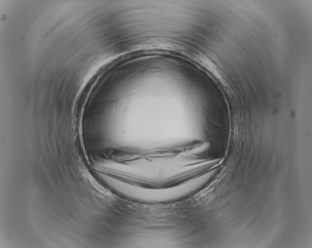 X0000088461116200706121457