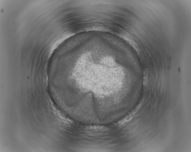 X0000088461117200706121457