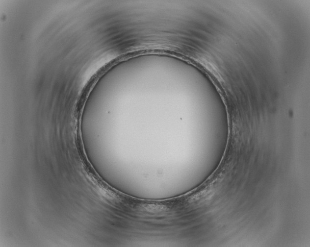 X0000088461119200706121457