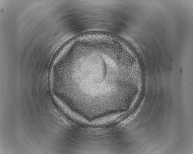 X0000088461121200706121457