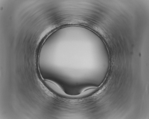 X0000088461122200706121457