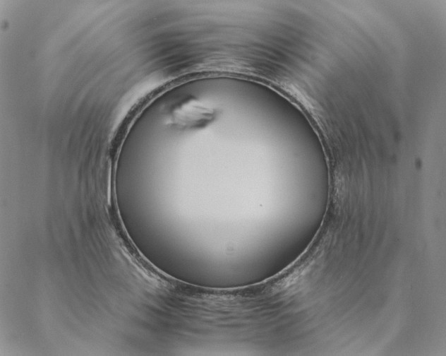 X0000088461123200706121457