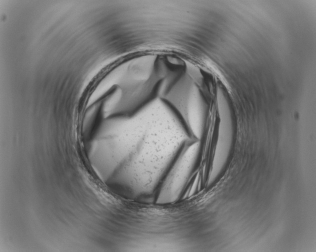 X0000088461124200706121457