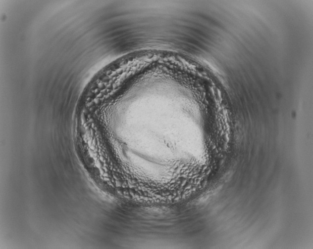 X0000088461125200706121457