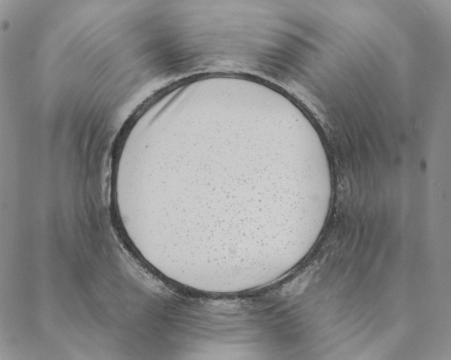 X0000088461126200706121457