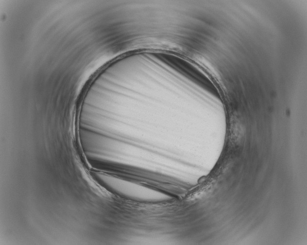 X0000088461128200706121457