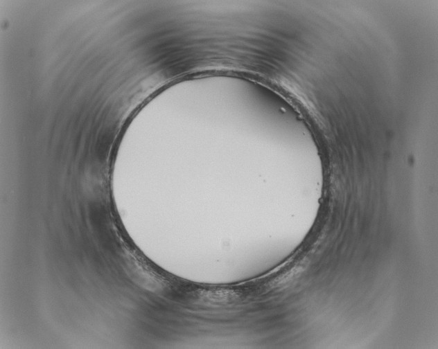 X0000088461129200706121457