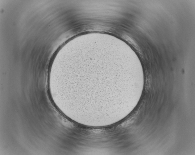 X0000088461130200706121457